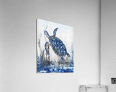 Watercolor Giant Turtle In Abstract Seaweed And Water IX Acrylic Print