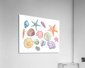 Under The Sea Multicolor Shells And Stars Beach A Acrylic Print
