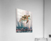 Turtle 115 Acrylic Print