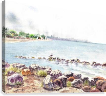 Crab Cove Alameda California Canvas Print