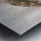 Turtle 115 Metal print