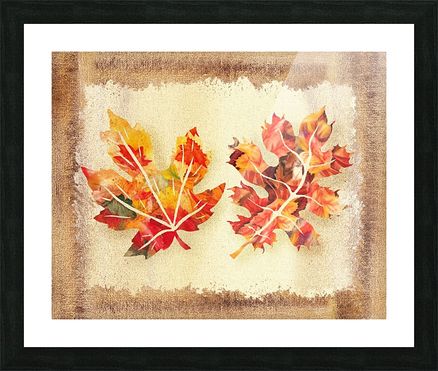 Fall Leaves Collage Impression et Cadre photo
