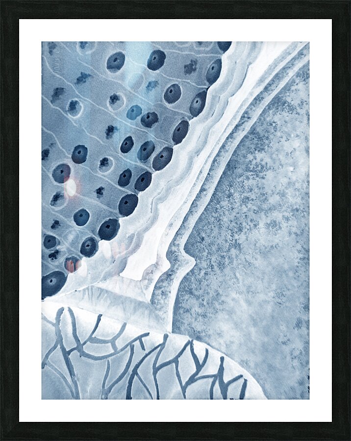 AbstractLizardReptileSkin2 2008 1 Picture Frame print