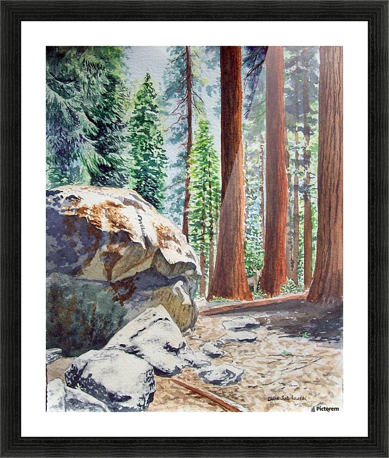 National Park Sequoia Picture Frame print