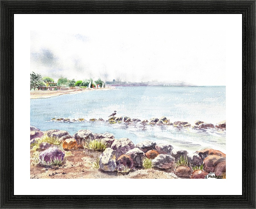 Crab Cove Alameda California Picture Frame print