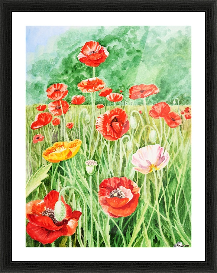 Poppy Field Picture Frame print