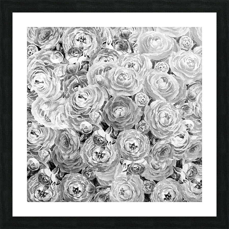 Ranunculus Flowers 8 Picture Frame print