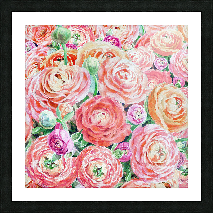 Ranunculus Flowers 10 Picture Frame print