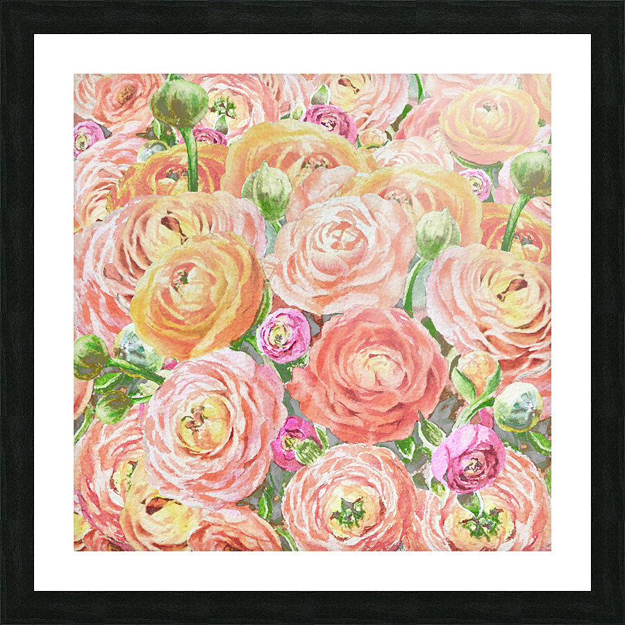 Ranunculus Flowers 4 Picture Frame print