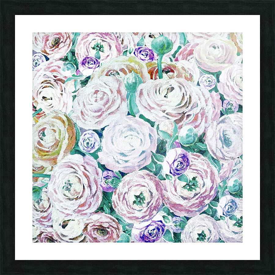 Ranunculus Flowers 3 Picture Frame print