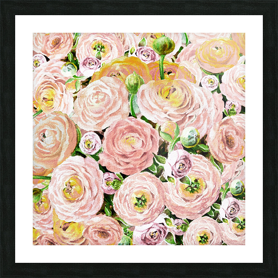 Ranunculus Flowers 6 Picture Frame print