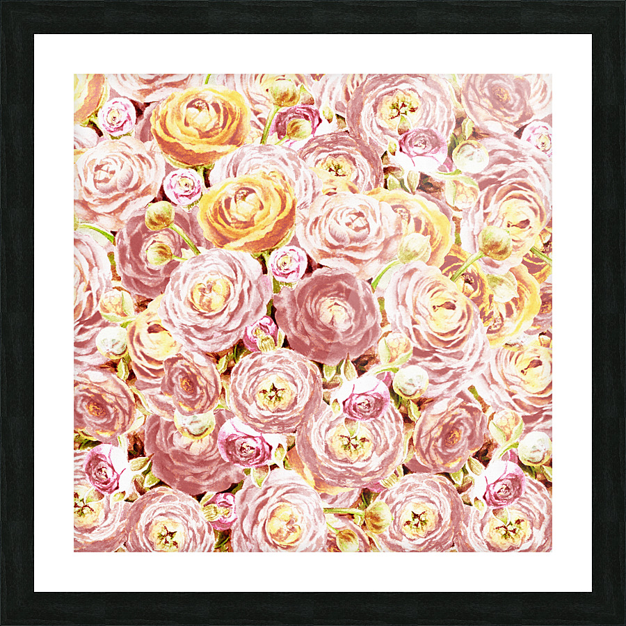 Ranunculus Flowers 1 Picture Frame print