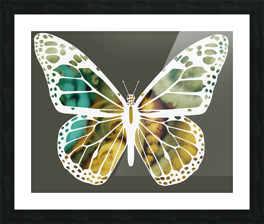 Butterfly 1 2 Picture Frame print