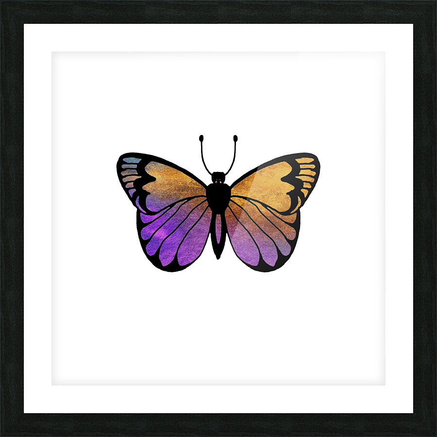 Butterfly 1 1 Picture Frame print