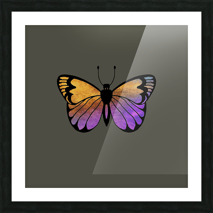 Butterfly 1 3 Picture Frame print