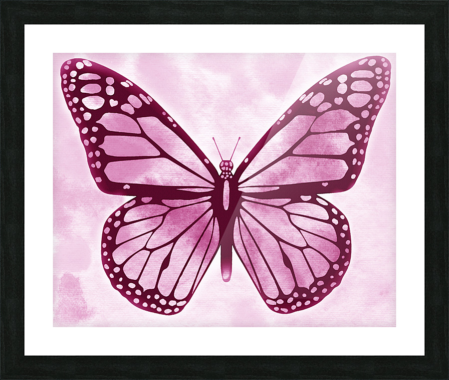 1 Butterflies 27 Picture Frame print
