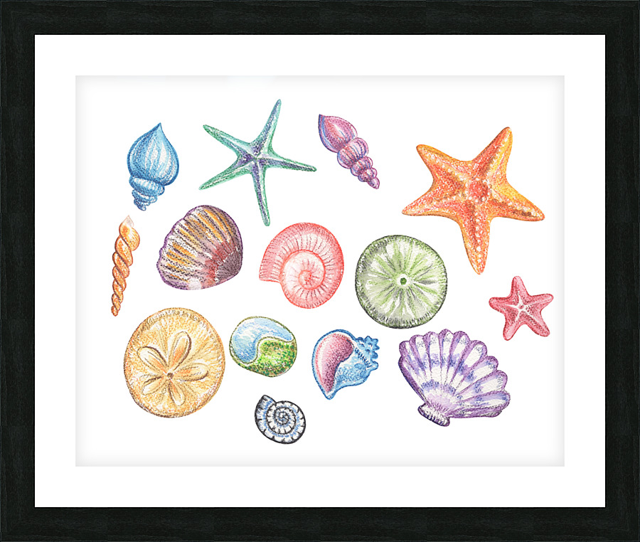 Under The Sea Multicolor Shells And Stars Beach A Picture Frame print