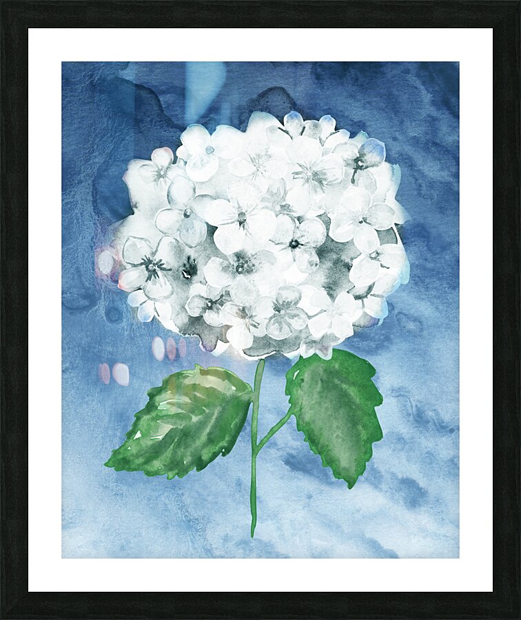 Hydrangea Flower 4 Picture Frame print