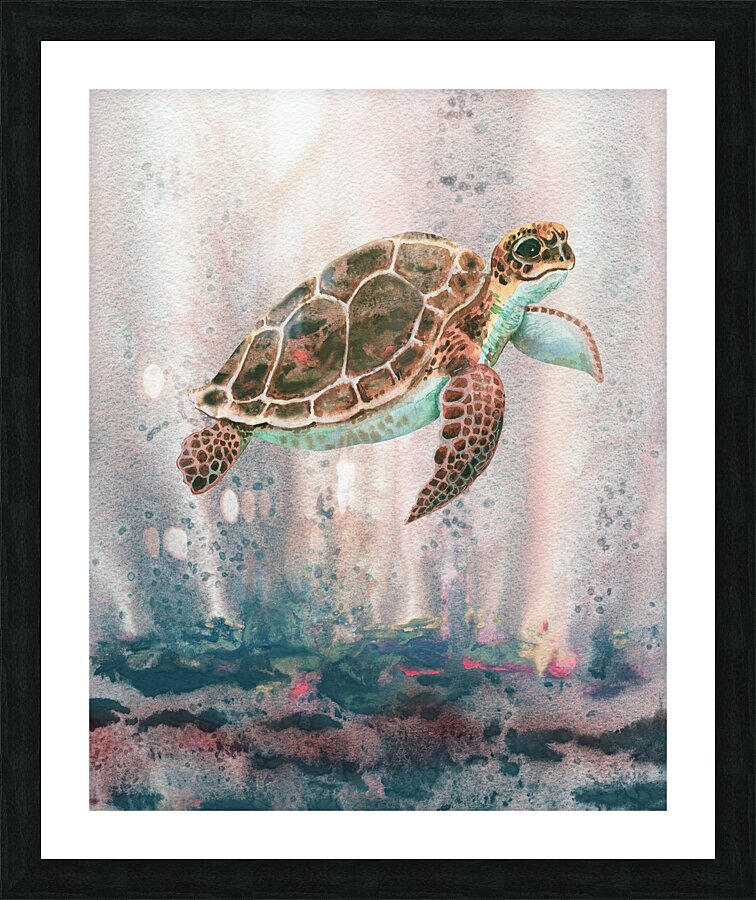 Turtle 115 Picture Frame print