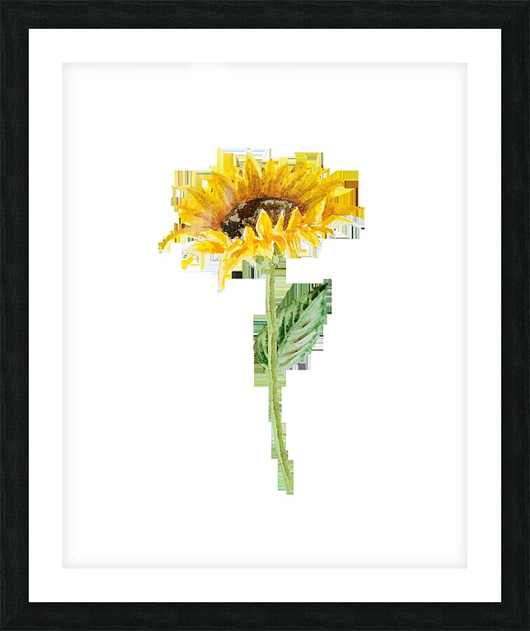 Watercolor Flower Minimalism PNG 6 Picture Frame print