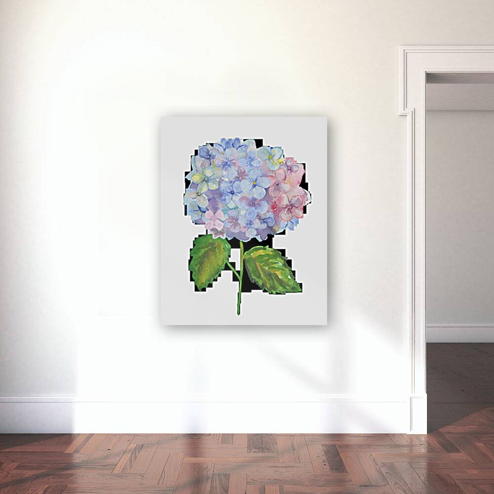 Hydrangea 1 Reproduction
