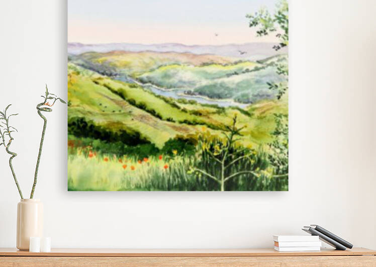 Summer Landscape Inspiration Point Orinda California by Irina Sztukowski