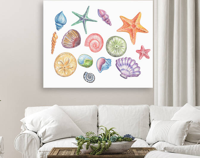 Under The Sea Multicolor Shells And Stars Beach A Reproduction
