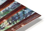 National Park Sequoia HD Metal print