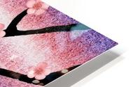 Cherry Blossoms HD Metal print
