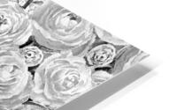 Ranunculus Flowers 8 HD Metal print
