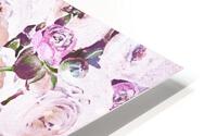 Ranunculus Flowers 2 HD Metal print
