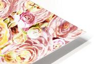 Ranunculus Flowers 1 HD Metal print