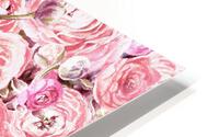 Ranunculus Flowers 7 HD Metal print