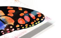 Butterfly 6 Rainbow HD Metal print