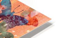 Butterfilies 9 HD Metal print