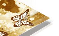 1 Butterflies 48 HD Metal print