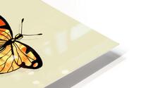 1 Butterflies 4 HD Metal print