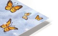 1 Butterflies 39 HD Metal print