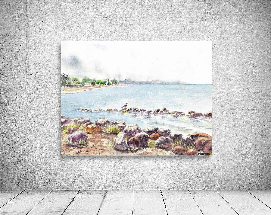 Crab Cove Alameda California Wall Preview