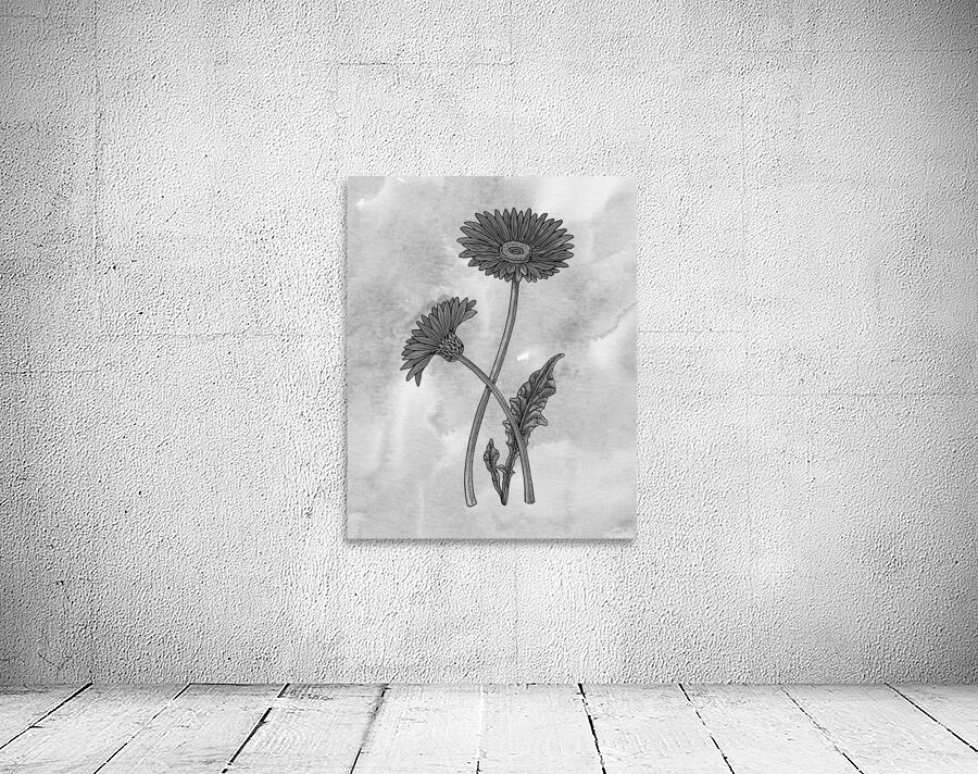 Gerbera Simple Gray Botanical Flower On Watercolor Marble  Wall Preview