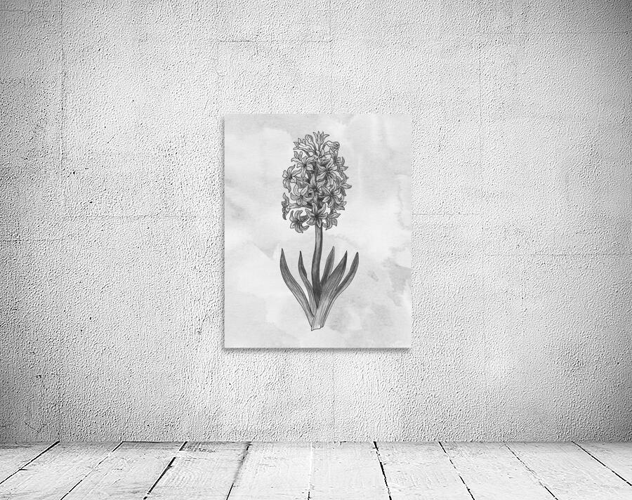 Hyacinth Simple Gray Botanical Flower On Watercolor Marble  Wall Preview