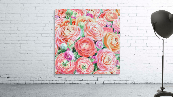Ranunculus Flowers 10 Wall Preview