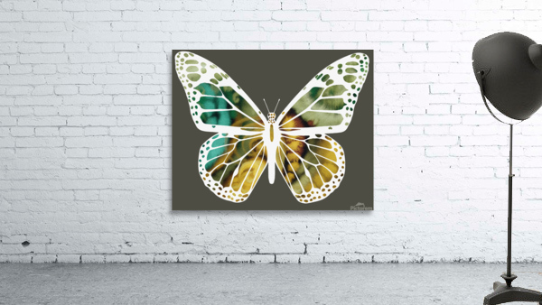 Butterfly 1 2 Wall Preview