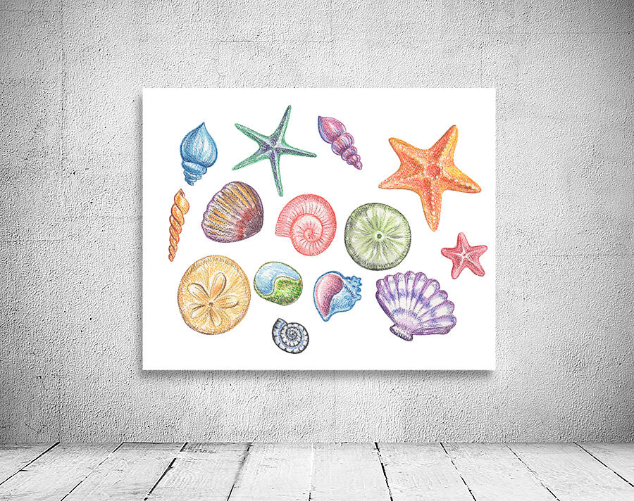Under The Sea Multicolor Shells And Stars Beach A Wall Preview