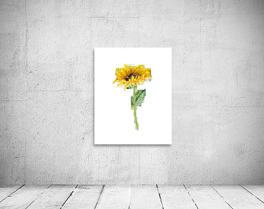 Watercolor Flower Minimalism PNG 6 Wall Preview