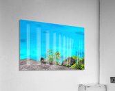 sea 2 Acrylic Print