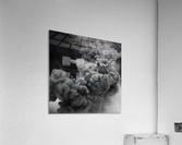 abastraction02 Acrylic Print
