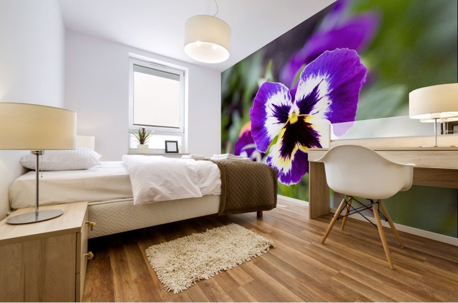 nature outdoor Mural print