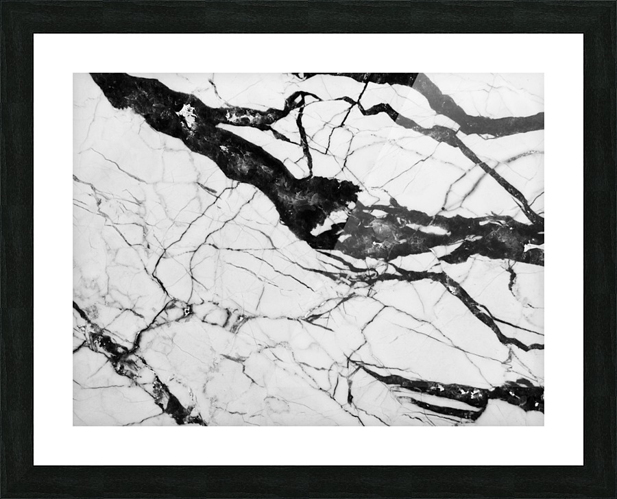 2554278 Picture Frame print
