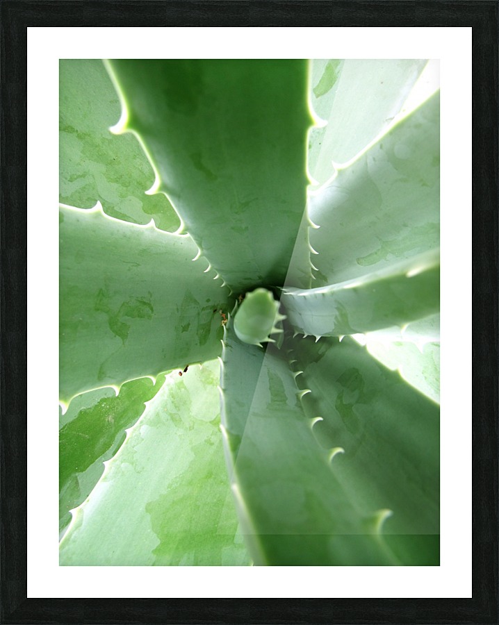 20200119120149 Picture Frame print